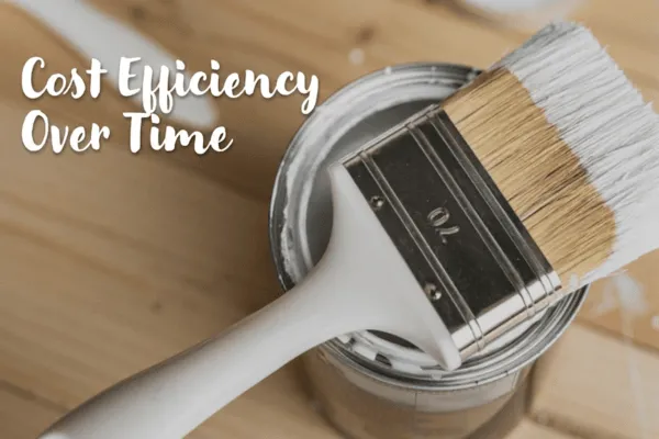 Cost Efficiency Over Time